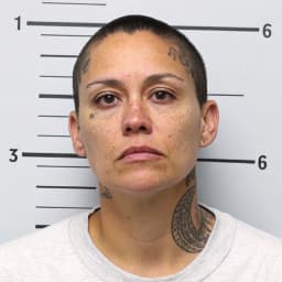 Mugshot Image Creation