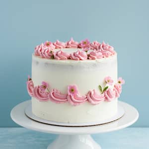 Simple White and Pink Cake - Perfect for Any Occasion