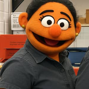 Transform Your Image into a Muppet