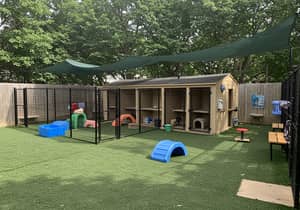 Premium Outdoor Pet Play Yard with Kennels & Amenities
