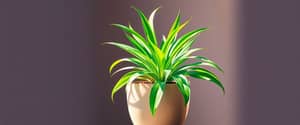 Vibrant Spider Plant Art in Minimalist Pot