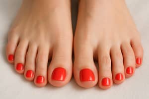 Caucasian Woman's Feet with Red Toenails