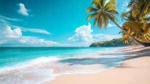 Vibrant Tropical Beach Photography