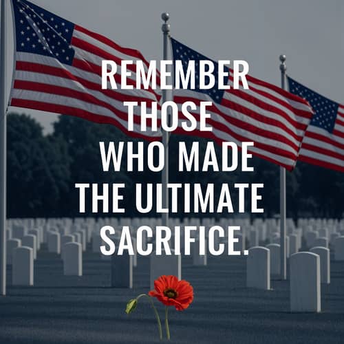 Honoring Sacrifice: American Flags Tribute