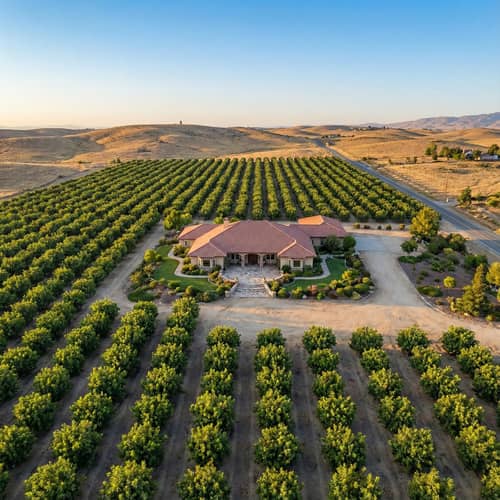 5 Acre Pistachio Grove with 8000 sqft House 5 Acre Pistachio Grove with 8000 sqft House