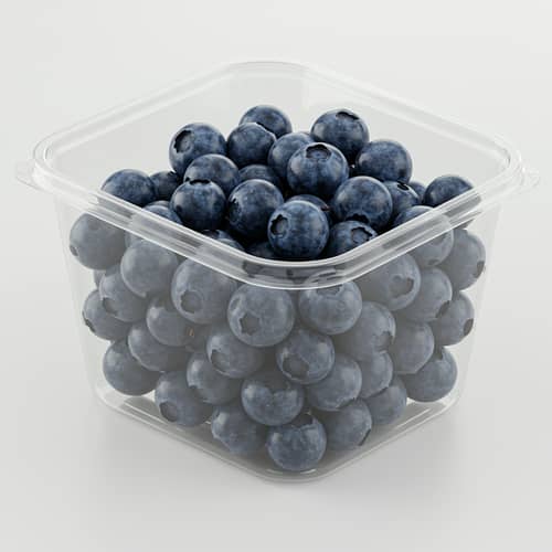 Blueberry Container Similar to Franui