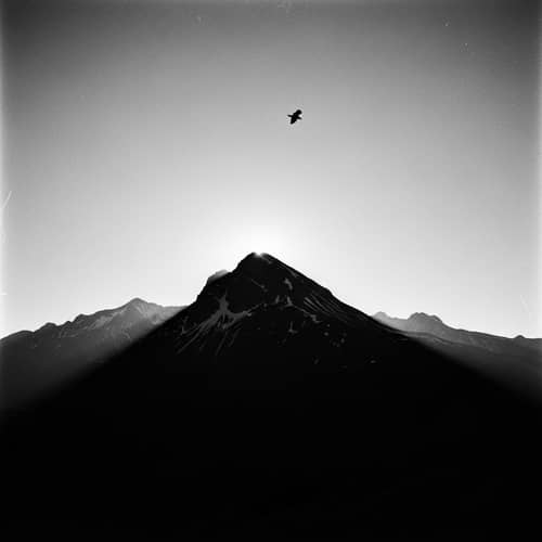 Majestic Mountain Silhouette in Monochrome with Bird in Flight