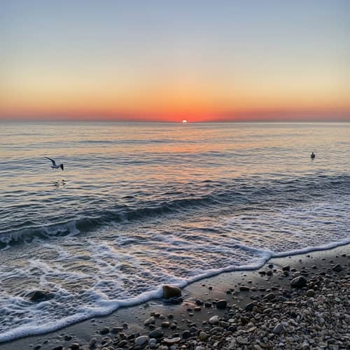 Tranquil Ocean Sunset with Seashells and Seagulls