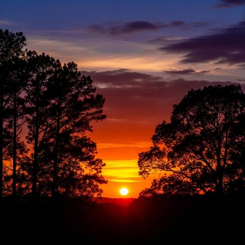 Captivating Sunset - Fiery Shades of Orange & Red