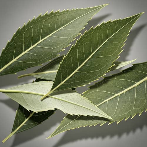 Abstract Olive Leaves Art | Natural Green & Yellow Hues
