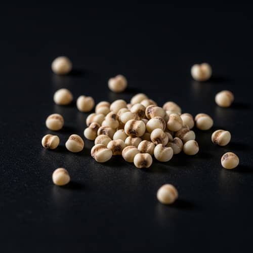 Finger Millet Grain Photography - Exquisite Detailed Image