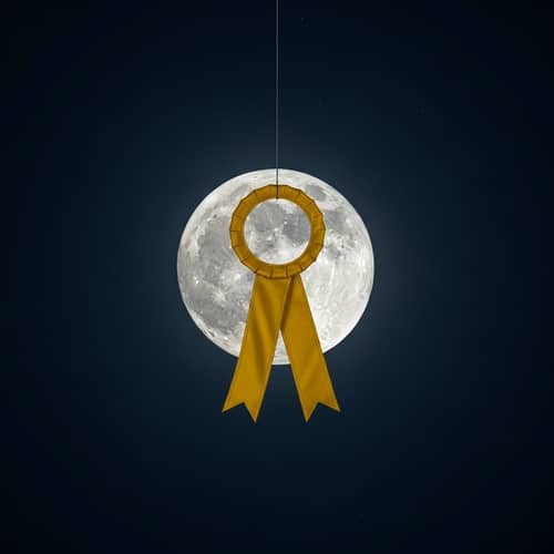 Powerful Determination: Moon in Night Sky Contest Winner