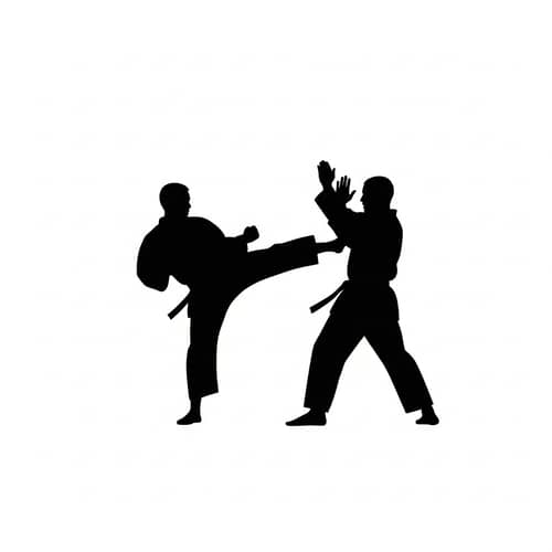 Minimalist Karate Art | Simple Figures in Monochrome Tones