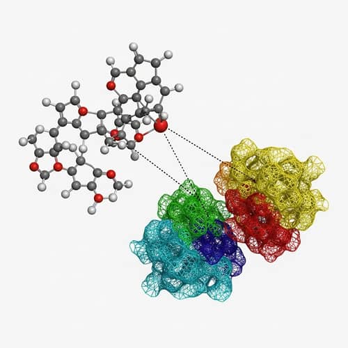 Molecular Inhibitor Design for Protein Kinase PknB of Mycobacterium Tuberculosis