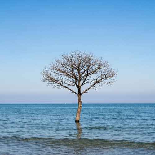 Dried Tree Standing Alone in the Sea