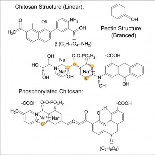 Detailed 2D Structure of Chitosan and Pectin