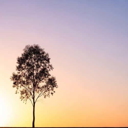 Minimalist Nature Wallpaper for Smartphone