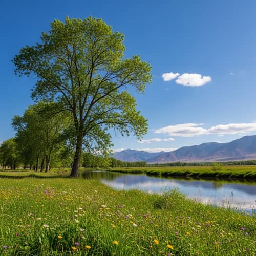 Tranquil Landscape Photo with Majestic Tree and Meandering River