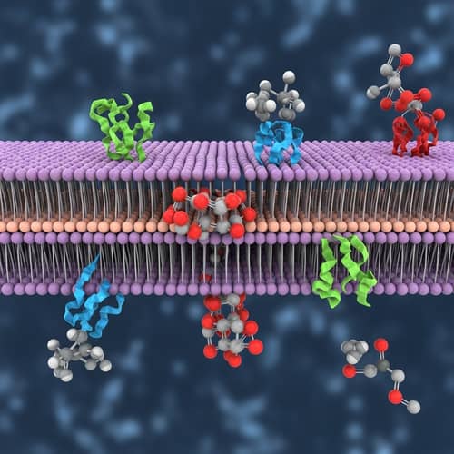 Drug Molecules Crossing Cellular Membrane | Scientific Illustration