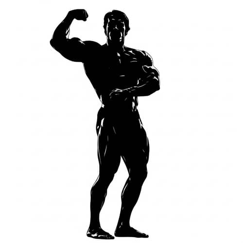 Arnold Schwarzenegger Black Silhouette Art