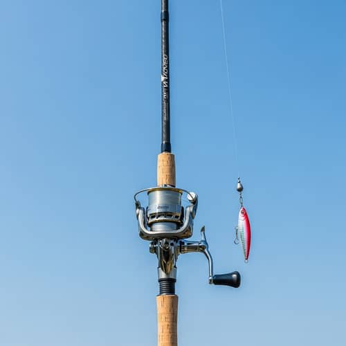 Lightweight Carbon Fiber Fishing Rod with Cork Grip
