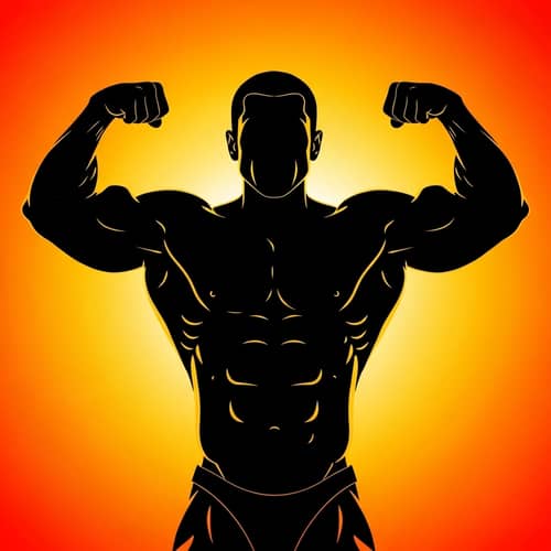 High-Resolution Bodybuilder Silhouette | Muscular Physique Flexing