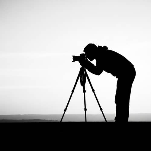 Diverse Gender and Race Photographer Capturing Perfect Shot