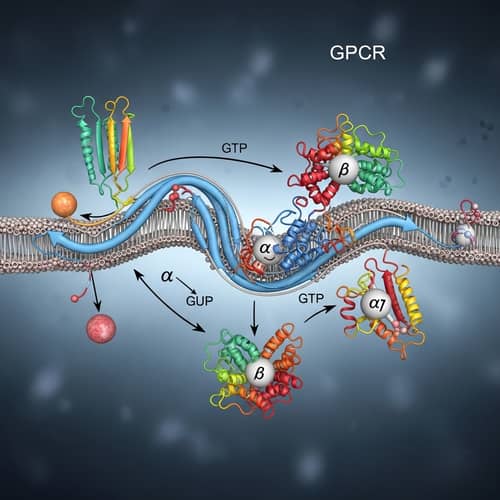 Cellular Communication Receptors & G Proteins Illustration