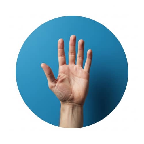 Human Hand in Blue Circle | Abstract and Minimalist Image