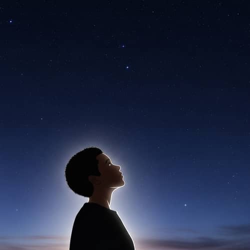 Twilight Silhouette Staring at Sky | Diversity Illustration