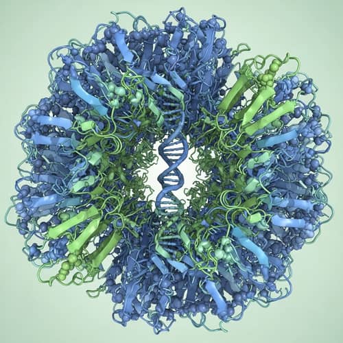 Protein Helicase: Detailed Illustration of Biomolecular Machine