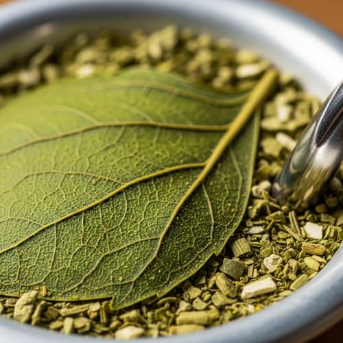 Yerba Mate Cup and Bombilla Close-Up: Nature-Inspired Photography