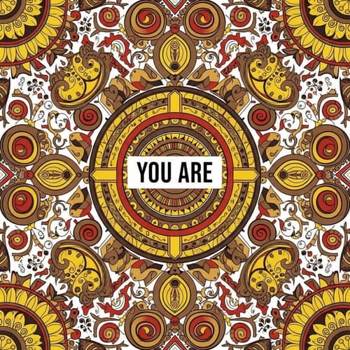 Ukrainian Ornament: Intricate Design with You Are Text
