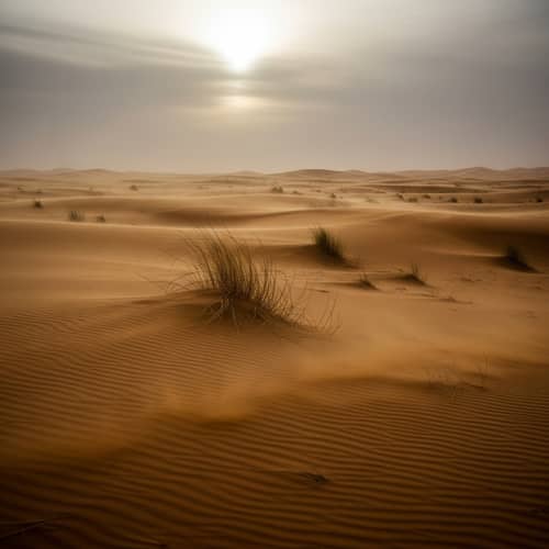 Desert Sandstorm: Eerie Beauty of Terracotta Dunes