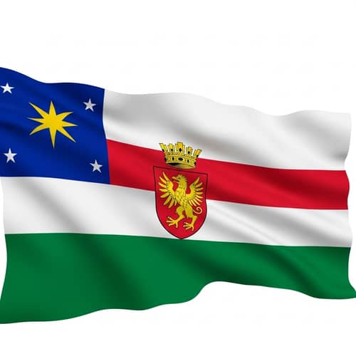 Vibrant Flat Style Fantasy Country Flag Design