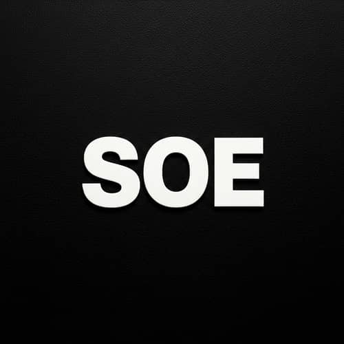 SOE - Bold White Letters on Black Canvas