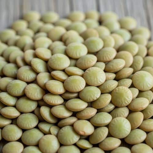Vibrant Green Lentils: Organic and Natural Dietary Staple Showcase