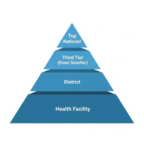 Medical Training Hierarchy Pyramid: National - Regional - District - Health Facility