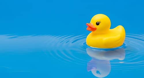 Tranquil Yellow Rubber Duck in Crystal Clear Water
