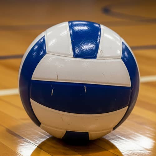 Professional Volleyball with Traditional Design