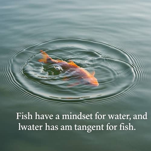 Fish Mindset in Water: A Philosophical Depiction of Harmony