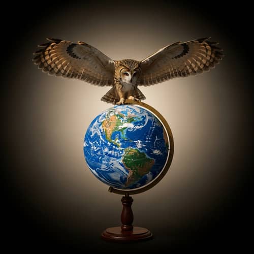 Owl Landing on Earth Globe | Majestic Wood Stand