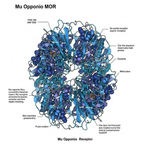 Mu Receptor Crystal Structure in 3D | PDB Illustration