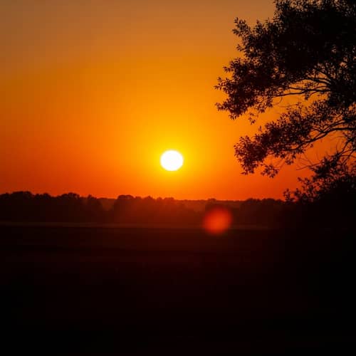 Radiant Afternoon Sun Icon - Serene Nature Image