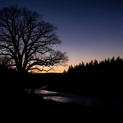 Silhouette Landscape with Tree and River