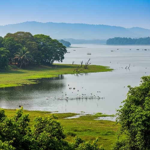 Serene Chilika Lake: Biodiversity Haven in India
