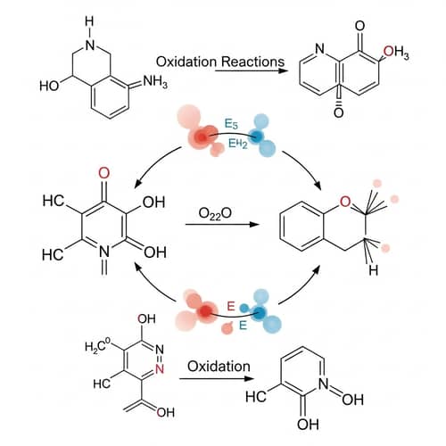 Understanding Oxidation Reactions: Transfer of Electrons and Energy