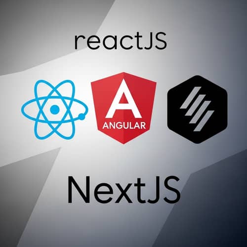 Frontend Technology with ReactJS, Angular, and NextJS Icons