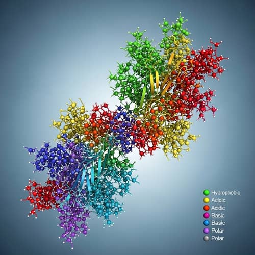 Detailed Microscopic View of Protein Molecule Structure