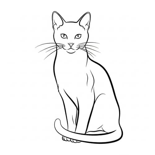 Basic Line Art Cat Illustration | Minimalist Design